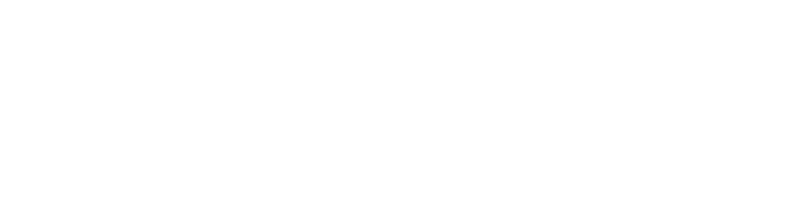 Optilink